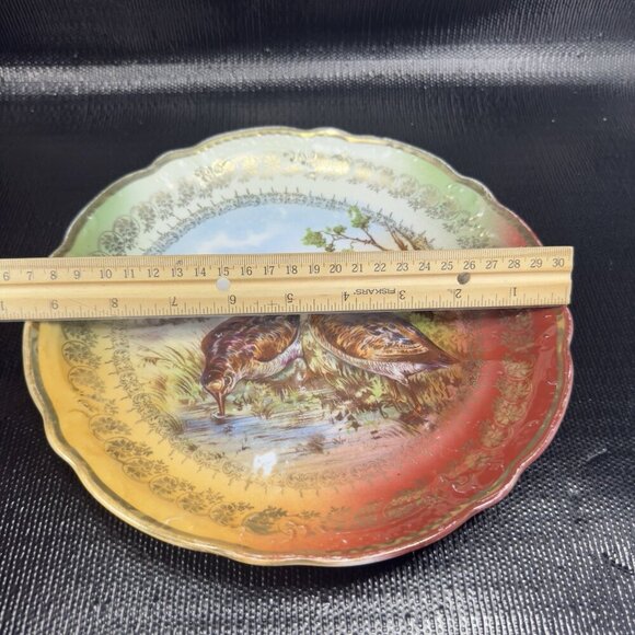 German Bavaria Fine Porcelain Dish Plate Bird Sandpiper Birds Ornate Plate 9.5” - Picture 3 of 15
